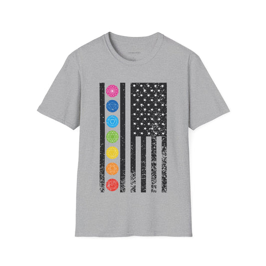 Monochrome Chakra US Flag